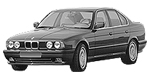 BMW E34 P1E6B Fault Code